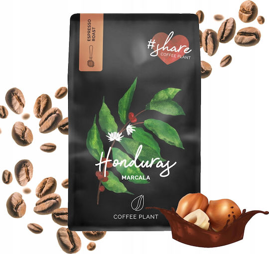 Coffee Plant Cafea Espresso Arabica Honduras Boabe 250gr