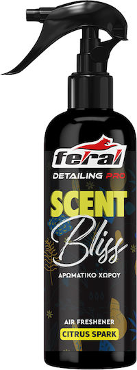 Feral Detailing Pro Cleaner Spray Car Windows 750ml