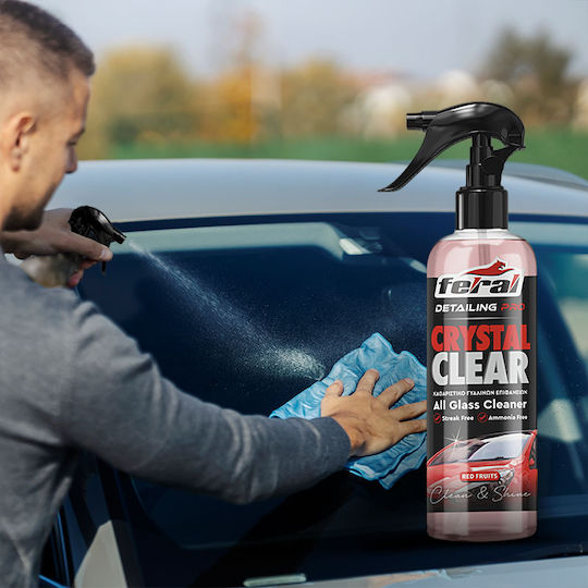 Feral Detailing Pro Καθαριστικό Σπρέι Τζαμιών Αυτοκινήτου 750ml