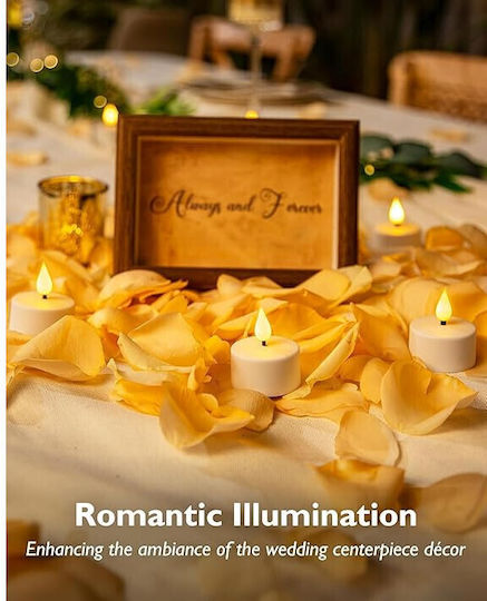 Set 12 Lustră Decorativă Lumânăriță
