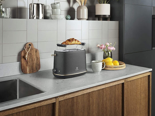 Electrolux Φρυγανιέρα 2 Θέσεων 980W Γκρι