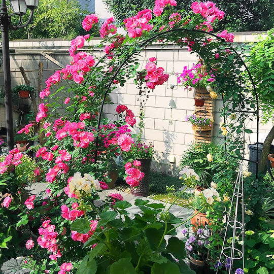 Metal Arch Curved Pergola Roses Decoration Wedding Baptisms Garden Anniversaries Parties Water-Resistant 240 X 140 X 38 Cm