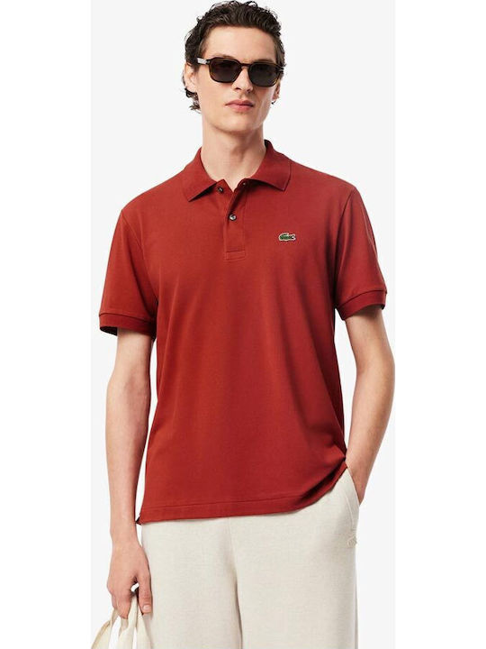 Polo T-shirt Καφέ