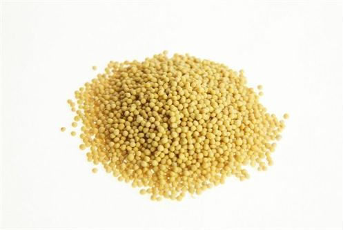 White Mustard 500g