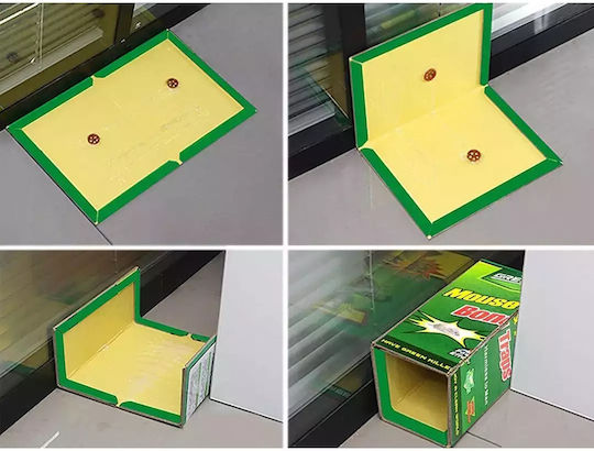 Verk Group Glue Trap from Plastic 31x20.5cm