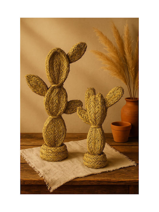 Boho Cactus Natural Decor Pentru Masă Seagrass