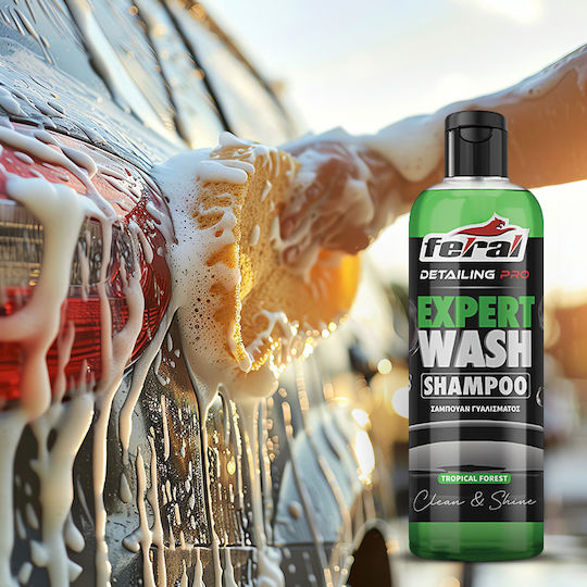 Feral Detailing Pro Șampon Auto 750ml