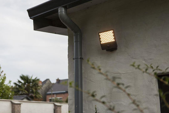 Lutec Wall-Mounted Outdoor Light 20.1x22.4x12.4εκ.