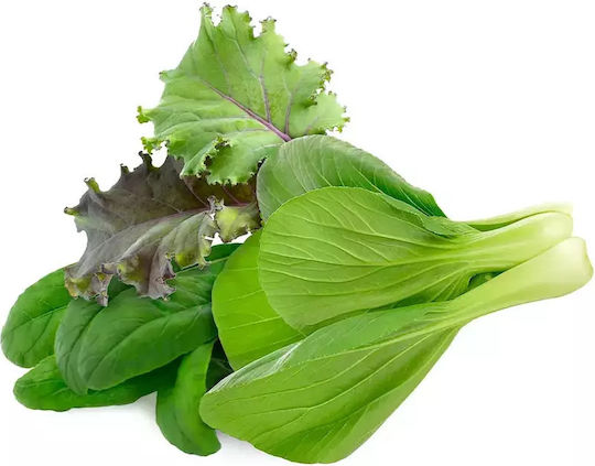 Click and Grow Σπόροι 9τμχ