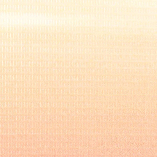 vidaXL Dekorativer Paravent Segeltuch 120x170cm