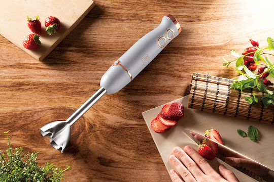 Berlinger Haus Handmixer mit Inox-Stab 500W Schwarzes