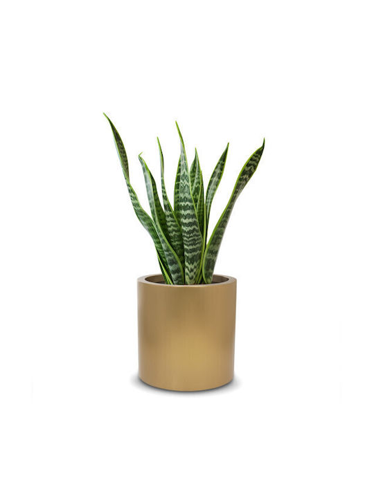 Harmony Pot Metallic Matte Gold 40x40x40cm.