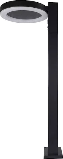 REV Solar Light