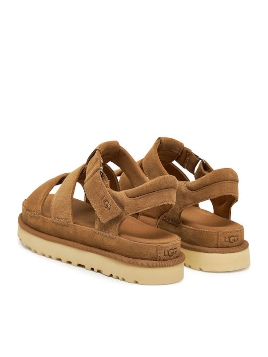 Goldenstar Women's Flat Sandals with Strap in Brown Color