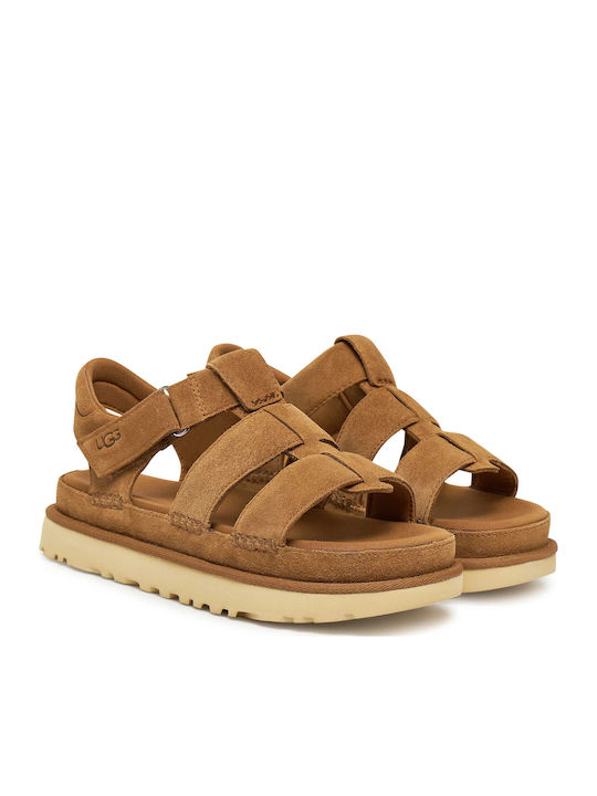 Goldenstar Women's Flat Sandals with Strap in Brown Color