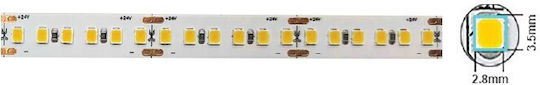Vito LED Strip 24V Warm White Light 5m Type SMD2835