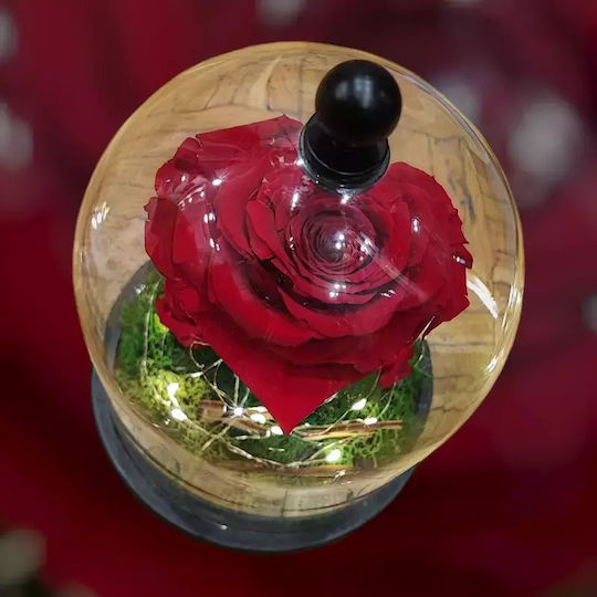Forever Rose in Yala Paar in 3 Rose Anfangs Beleuchtung Forever Rose in Yala Paar in 3 Rose Anfangs Beleuchtung