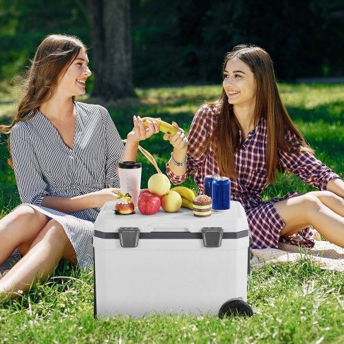 Vevor 45 Qt Φορητό Ψυγείο 45lt Γκρι