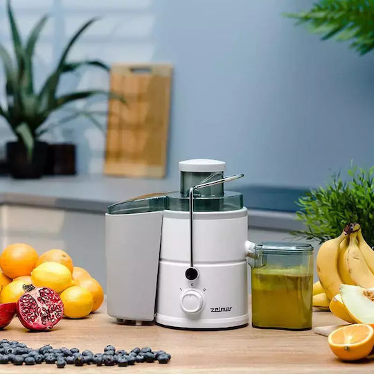 Zelmer Storcător de fructe 600W Verde