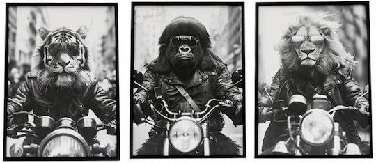 Frame "Animal Bike" 3 designs 20x25cm