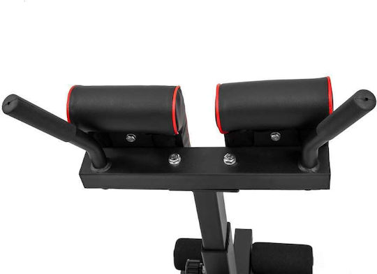 AMILA Adjustable Workout Bench Dorsal Ασημί