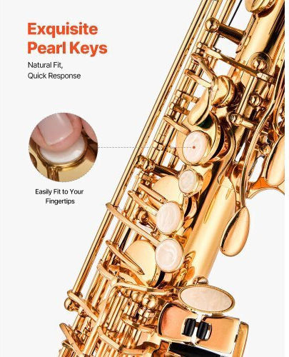 Vevor Alto Saxophone Eb Beginners Case Mouthpiece Wgskszyjedjsfjgju001v0