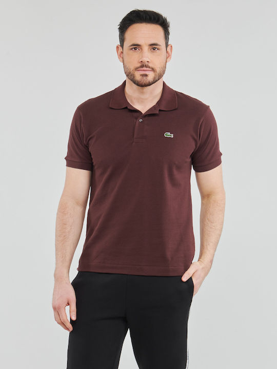 Polo Short Sleeve Blouse Burgundy