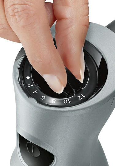 Bosch ErgoMixx Ραβδομπλέντερ με Ανοξείδωτη Ράβδο 750W Μαύρο