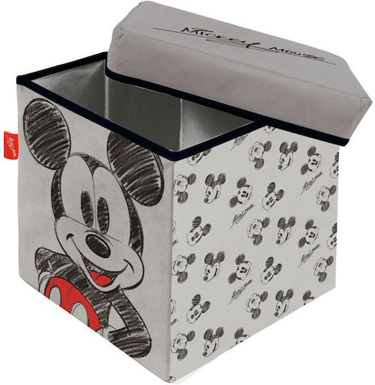 Arditex Children's Stool with Storage Space Arditex Children's Stool with Storage Space