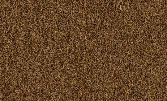 Tetra Delica Tropical Fish Food 100ml 8gr