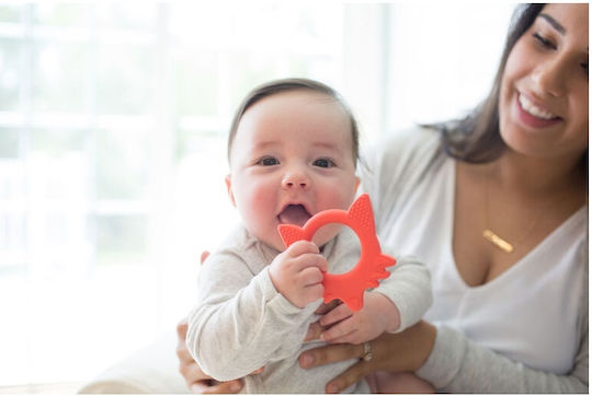 Dr. Brown's Fox Teething Ring made of Silicone for 3 m+