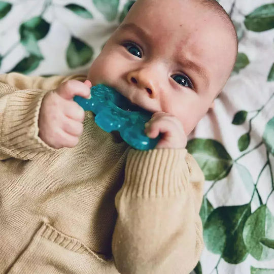 Akuku Steering wheel Teething Ring with Water made of Silicone for 3 m+