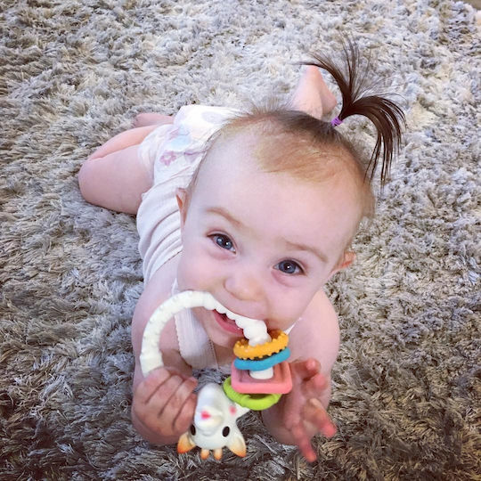 Sophie La Girafe Μασητικός Κρίκος Οδοντοφυΐας από Καουτσούκ για 3 m+
