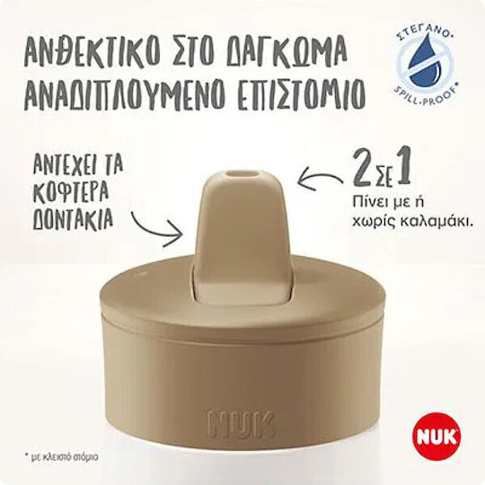 Nuk Container Gray für 12+ Monate 1Stück