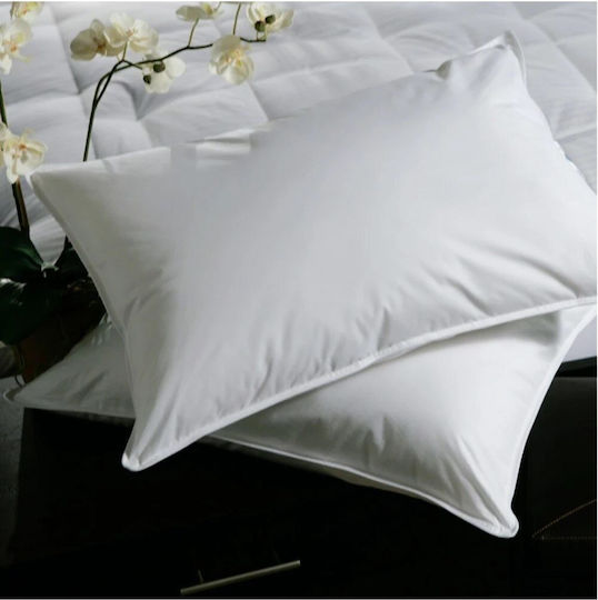 Kotonia Home Perna De Dormit Microfibra 50x70cm