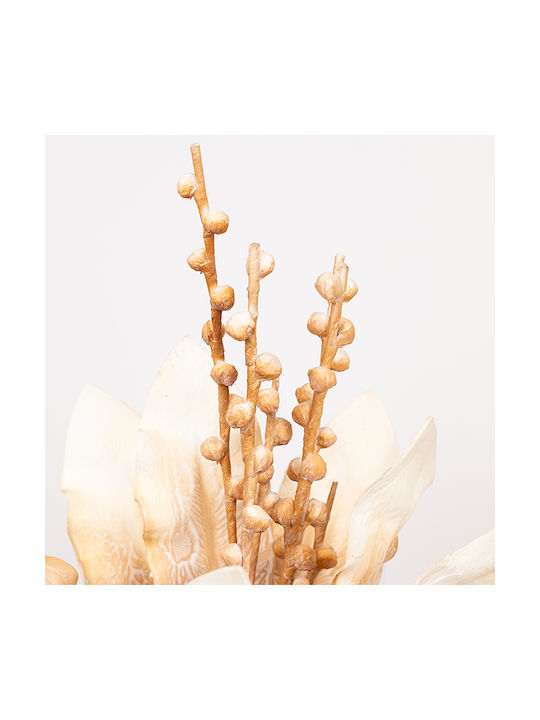 Aloe Beige 35cm