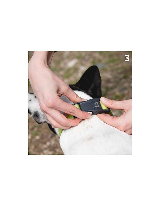 Dog Collar Magnetic Buckle Easy To Use Maximum Safety M