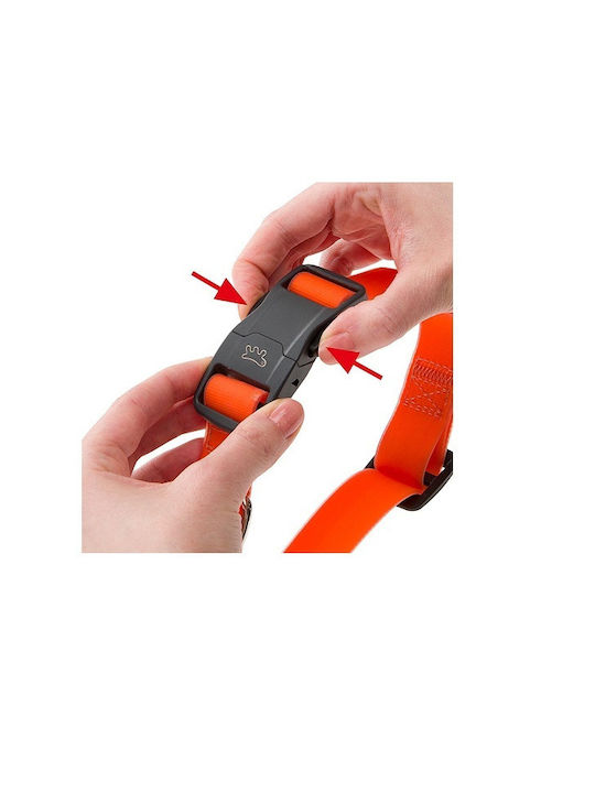 Dog Collar Magnetic Buckle Easy To Use Maximum Safety S