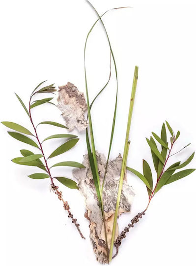 Spray Dezinfectant Pentru Spații Câini Bondi Wash Paperbark Lemongrass 150 Ml