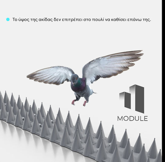 Module Set 12 Repellent Spikes Birds / Cats / Rodents 684gr 0.45x0.05m