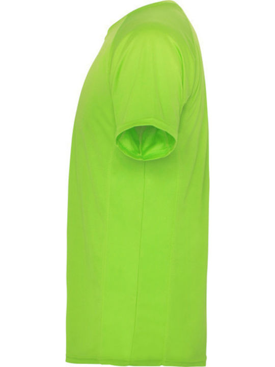Montecarlo T-shirt Green