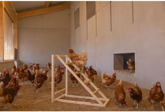 Kerbl Кокошка Катереща Кула 85 X 55 X 76 См Люлка Здрава Стълба