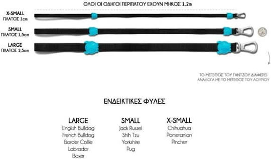 Zee-Dog Dog Leash/Lead Strap Smash in Green color