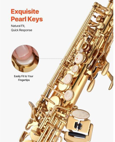 Vevor Soprano Saxophone B Flat Mouthpiece Case Zgsksgyjbdjsst1kc001v0