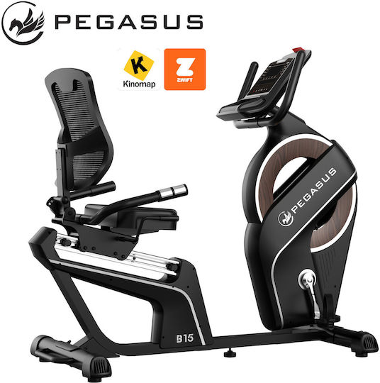 Pegasus B15 Седящо Велосипед за Фитнес Магнитно