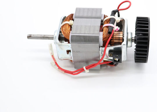 Maxima Motor