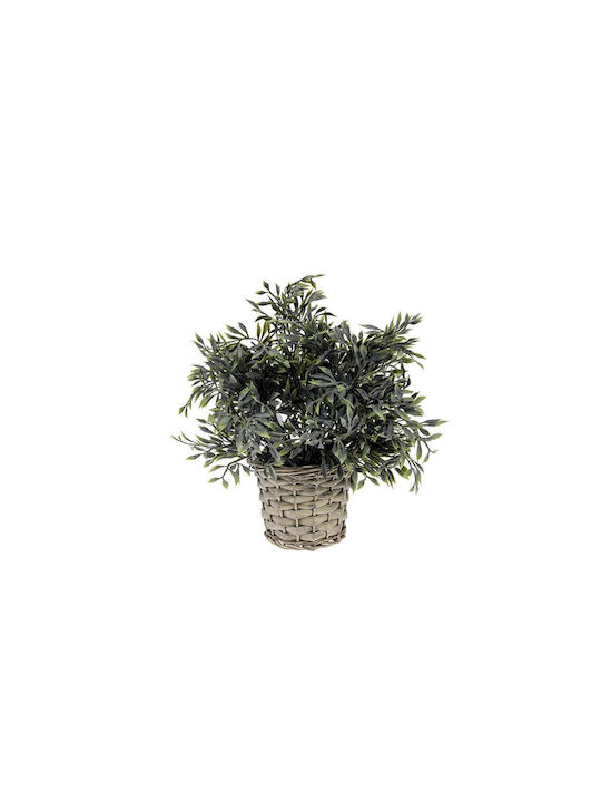 Künstliche Pflanze im Töpfchen 28cm (Verschiedene Designs) Koopman