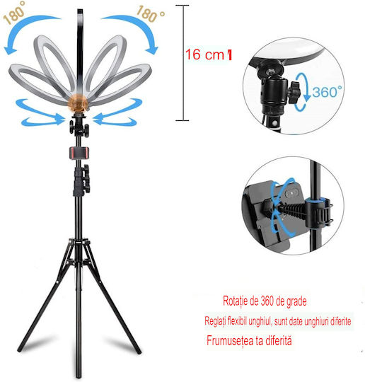 Lampă Circulară Profesională de Machiaj Seming Ring Light Xf-211 12 Inch/30cm LED Lumină Rece Caldă Tip Inelar Trepied Stabil 55cm Telecomandă Fotografii Reușite Alb
