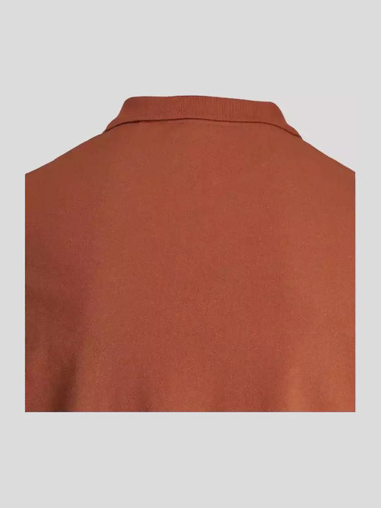 King Polo T-Shirt Brown