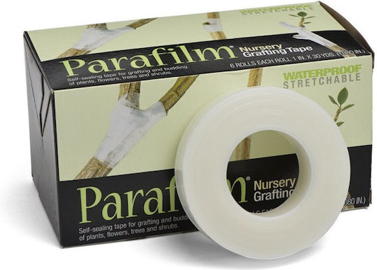 Amcor Parafilm Grafting Tape 1/2'' X 27.43m 2pcs